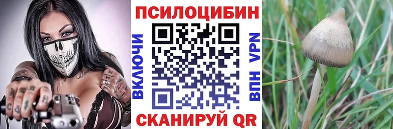 Галлюциногенные грибы GOLDEN TEACHER  Большой Камень 